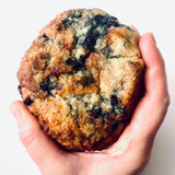 Limited Edition: Vegan Blueberry Scone