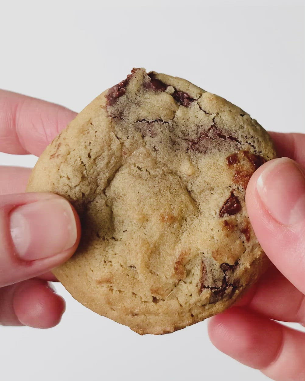 Seven Grams Caffé – Snackable Ooey Gooey Cookies – THE VEGAN TAHINI – Video